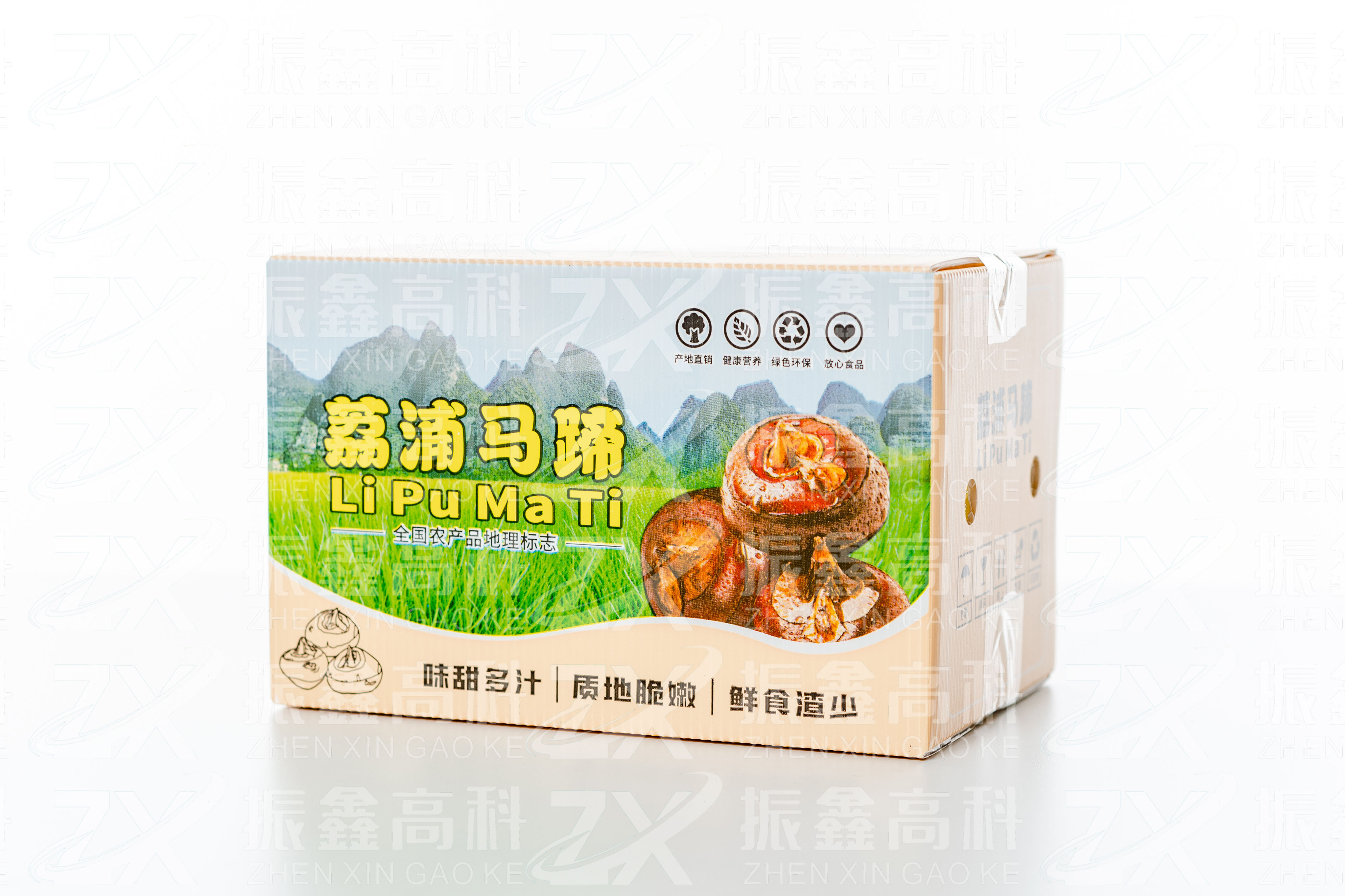 马蹄箱.jpg